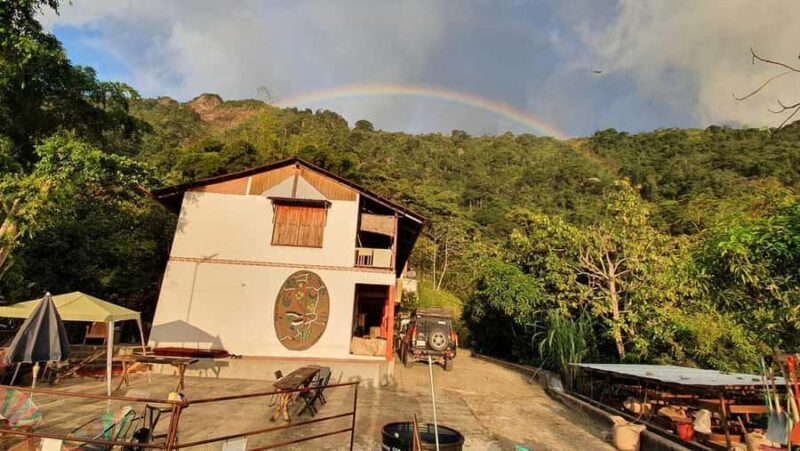 Cacao and Coffee Tour - Final Thoughts: Is It Worth It?