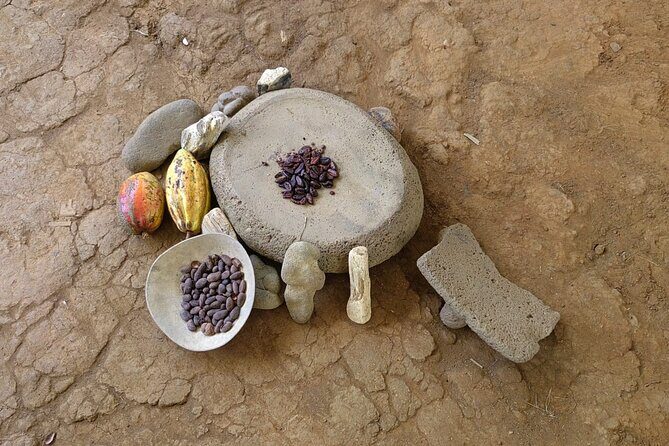 Cacao and Medicinal Plants Ceremony Private Guide - Analyzing the Value and Experience