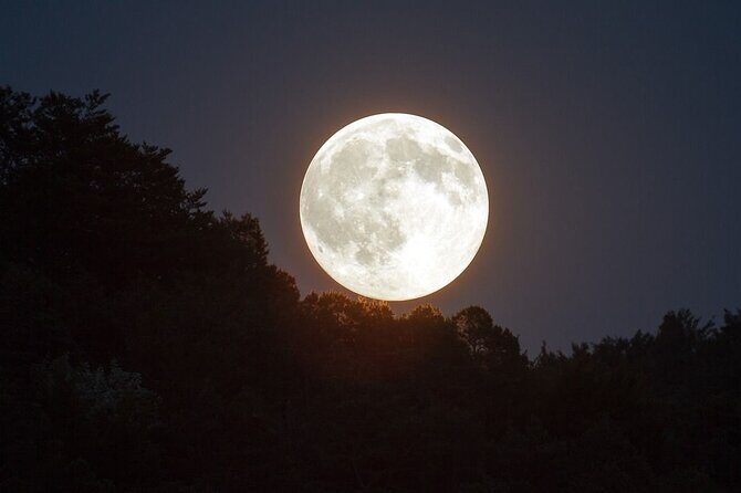 Cacao ceremony on the beach of Holbox - Detailed Review of the Cacao Ceremony Experience