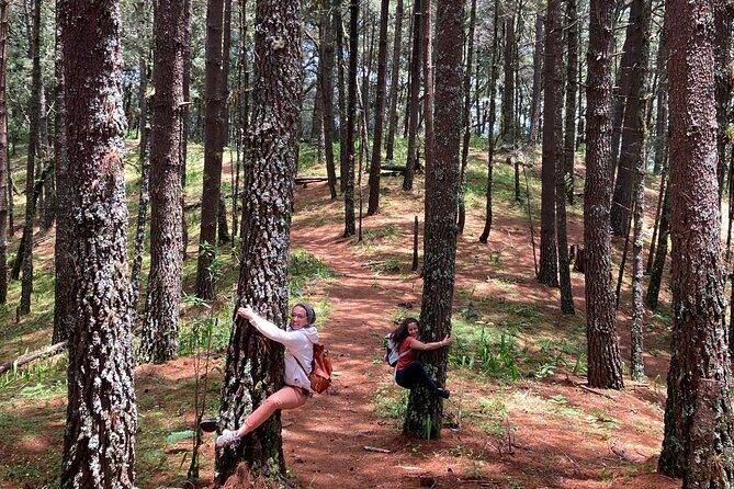 Cacao day experience from the wood to your cup! - Key Points