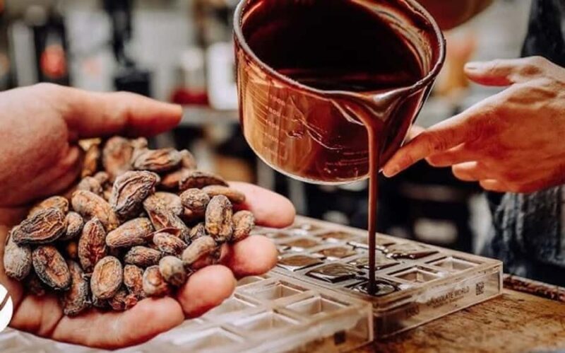 Cacao Experience Tour - Key Points