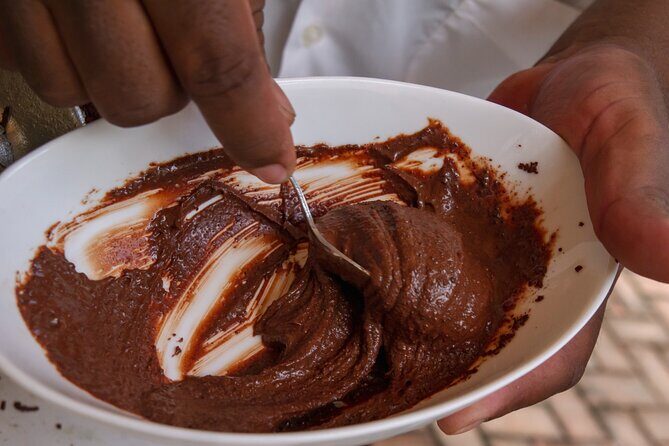 Cacao Farm Excursion Day Trip from Guayaquil - An In-Depth Look at the Cacao Farm Excursion