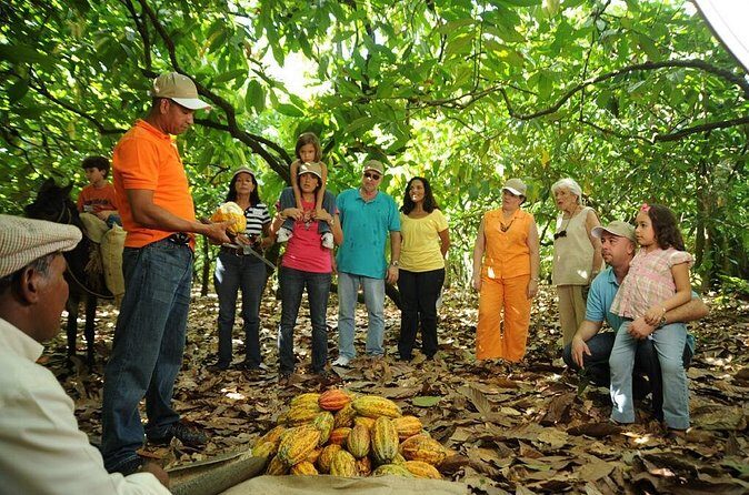 Cacao Plantation and Chocolate Factory Tour- Classic - Frequently Asked Questions