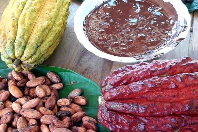 Cacao Tour - Key Points