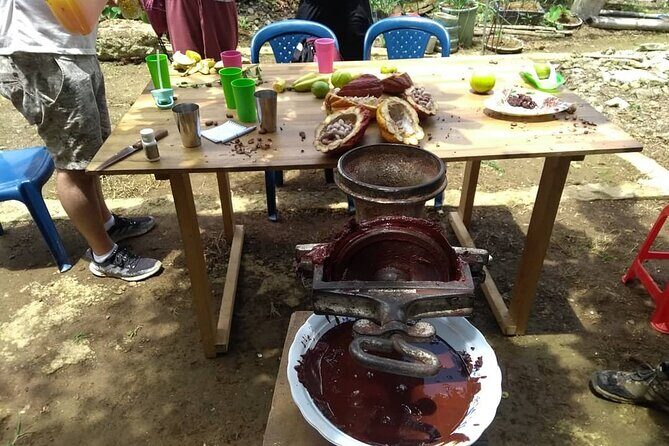 Cacao Tour - An In-Depth Look at the Cacao Tour in Medellín