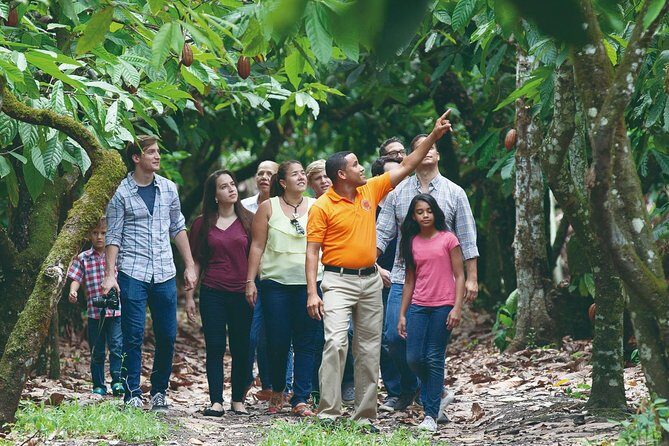Cacao trail and making of chocolate tour from Santo Domingo - Key Points