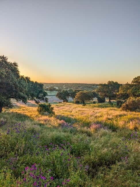 Cáceres: Monfrague Wildlife Full-Day Tour - Discovering Monfragüe: The Heart of Extremadura