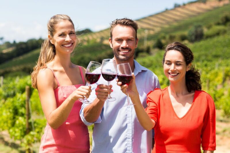 Cáceres: Winery Tour and Wine Tasting with Local Guide - Final Thoughts: Who Should Book?