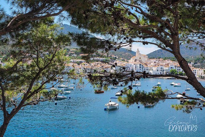 Cadaqués & Dalí House-Museum day trip from Girona (tickets included) - Who Would Love This Tour?