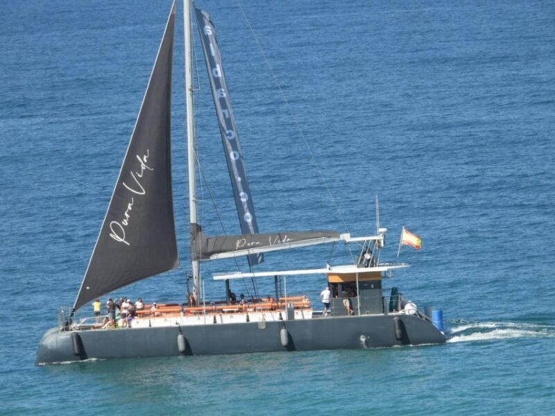 Cadiz: Bay of Cadiz Catamaran Tour with Host - Cadiz: Bay of Cadiz Catamaran Tour with Host — A Practical, Authentic Water Adventure