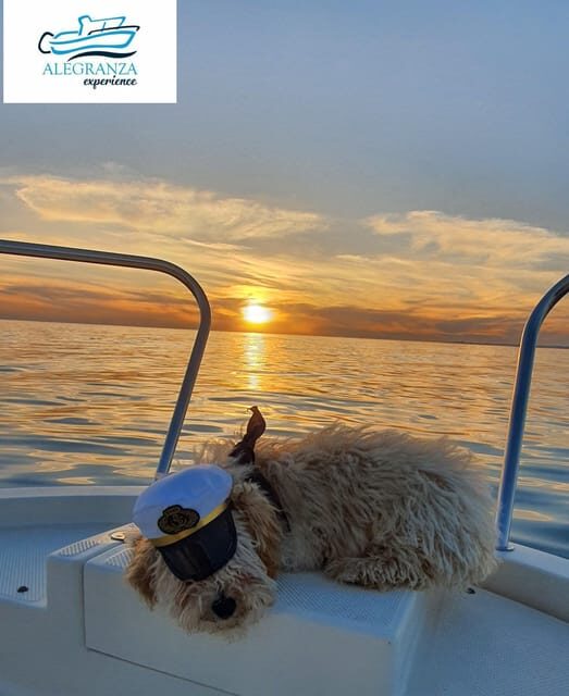Cadiz Bay: Sunset boat tour "Fall in Love" - The Sum Up