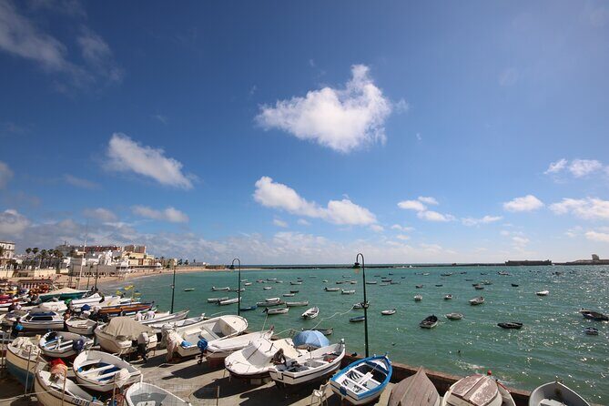 Cadiz Like a Local: Customized Private Tour - The Sum Up: Who Should Consider This Tour?