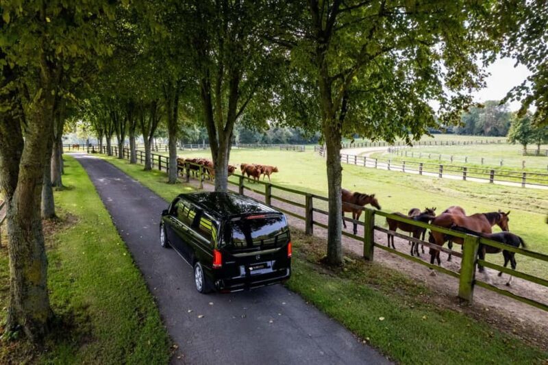 Caen: Guided Tour of Caen and Bayeux - Key Points