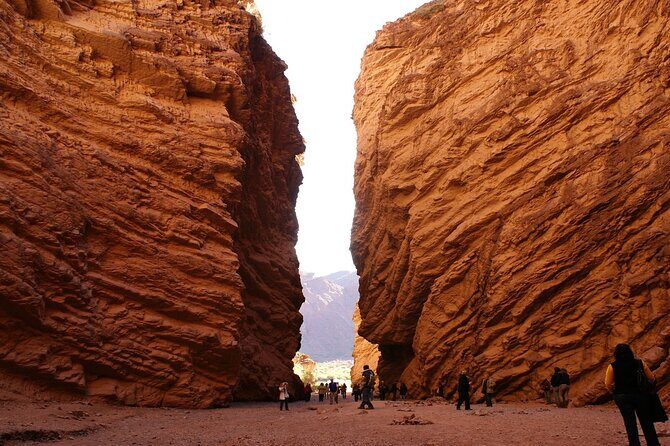 Cafayate, Vineyards and Calchaquies Valleys Tour from Salta - A Closer Look at the Experience