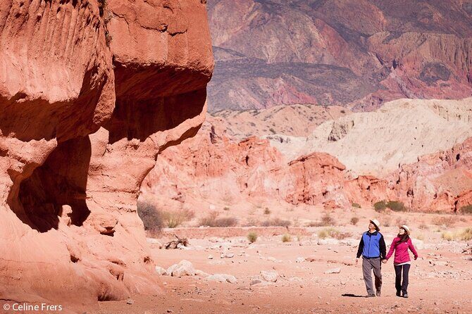 Cafayate, Vineyards and Calchaquies Valleys Tour from Salta - The Sum Up