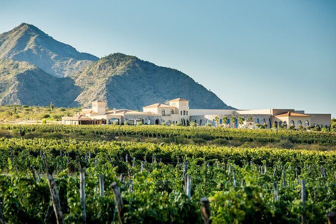 Cafayate Wine Trail Excursion: Explore Salta's Vineyards - Key Points