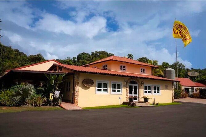 Cafe y Ron: Bad Bunny Inspired Local Full Day Tour from San Juan - A Deep Dive into the Tour Experience