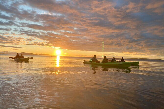 Cafes and Kayaks: Full Day Kayaking Adventure on Orcas Island - Key Points