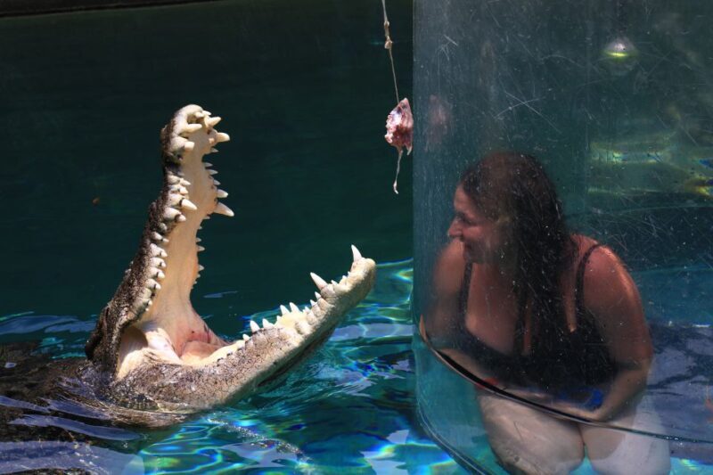 "Cage Of Death" Crocodile Swim and Entry to Crocosaurus Cove - FAQ