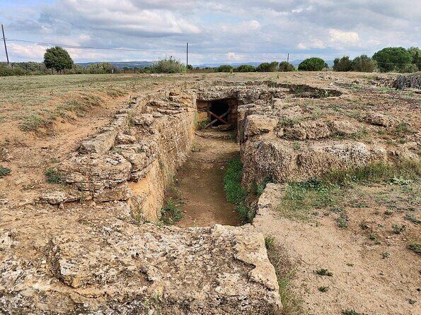 Cagliari: Alghero full day Private Tour Experience - A Detailed Look at the Cagliari to Alghero Private Tour