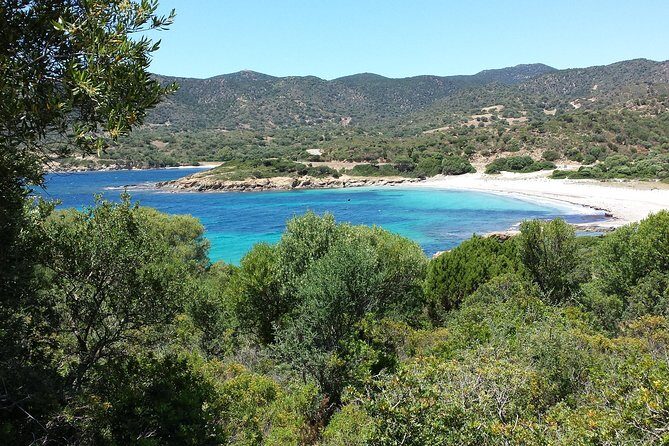 Cagliari: Amazing Jeep Private Tour of Sardinia's Hidden Beaches from Chia - What the Reviews Say