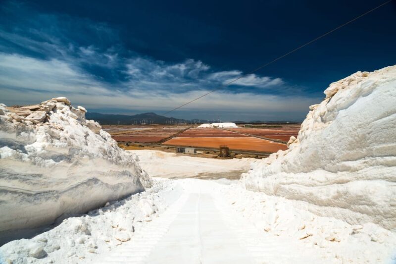 Cagliari: Conti Vecchi Salt Flats Train and Tour - Cagliari: Conti Vecchi Salt Flats Train and Tour — An Authentic Sardinian Experience