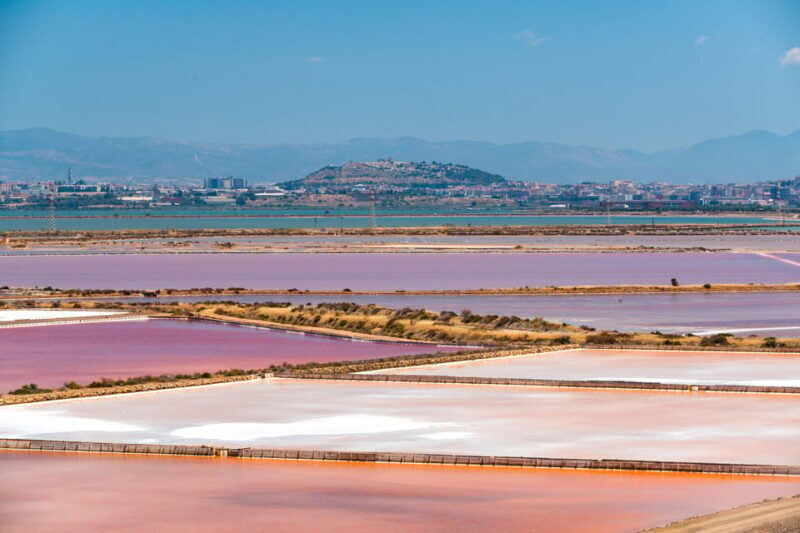 Cagliari: Conti Vecchi Salt Flats Train and Tour - The Itinerary in Detail