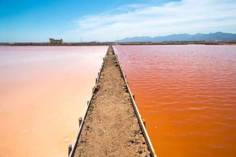 Cagliari: Conti Vecchi Salt Flats Train and Tour - Who Should Consider This Tour?