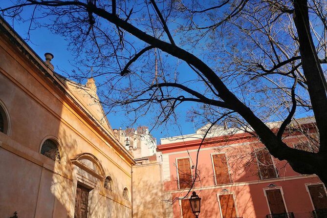 Cagliari: cultural walking tour, food and wine tasting experience - Practicalities and Group Dynamics