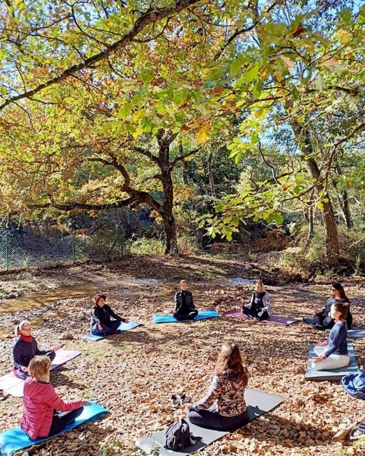 Cagliari: forest bathing at Sette Fratelli Park - Cagliari: Forest Bathing at Sette Fratelli Park