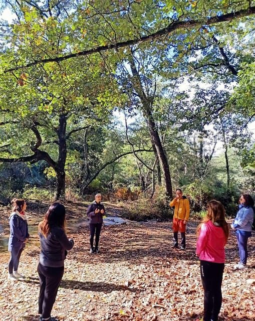 Cagliari: forest bathing at Sette Fratelli Park - Who Will Love This Tour?