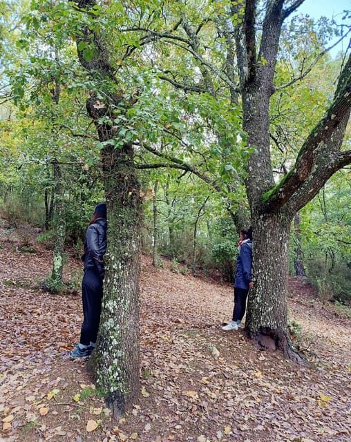 Cagliari: forest bathing at Sette Fratelli Park - Final Thoughts