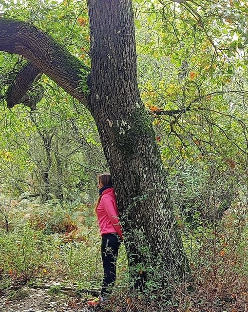 Cagliari: forest bathing at Sette Fratelli Park - FAQ Section