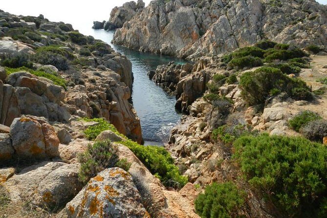 Cagliari: Full-Day Private Tour of Sardinia's Hidden Beaches from Chia - FAQ
