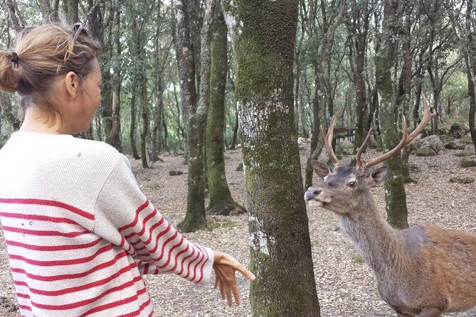 Cagliari: Is Cannoneris Nature Reserve Jeep and Walking Private Tour from Chia - Cagliari: Is Cannoneris Nature Reserve Jeep and Walking Private Tour from Chia