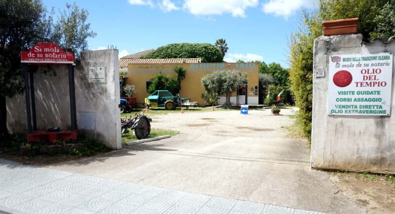 Cagliari Olive Oil Museum: Tours & Tasting a Dolianova - Key Points