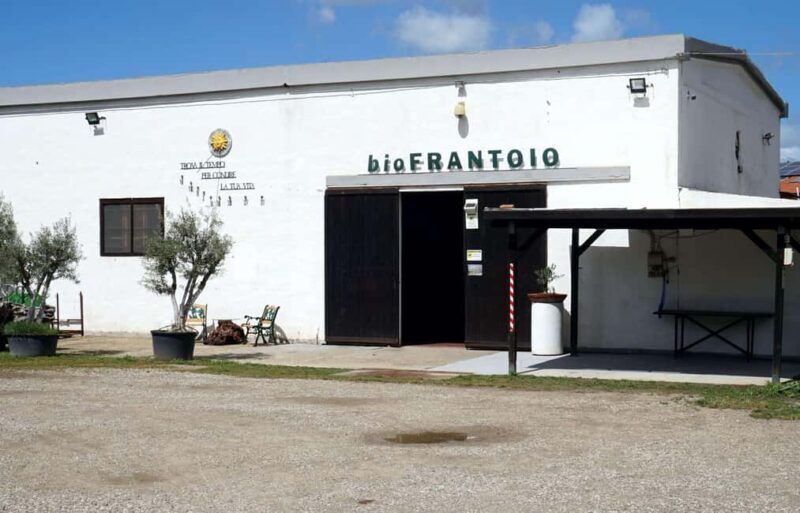Cagliari Olive Oil Museum: Tours & Tasting a Dolianova - The Olive Oil Museum: A Walk Through Time