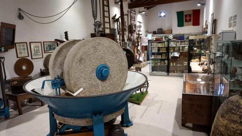 Cagliari Olive Oil Museum: Tours & Tasting a Dolianova - Tasting and Flavored Oils