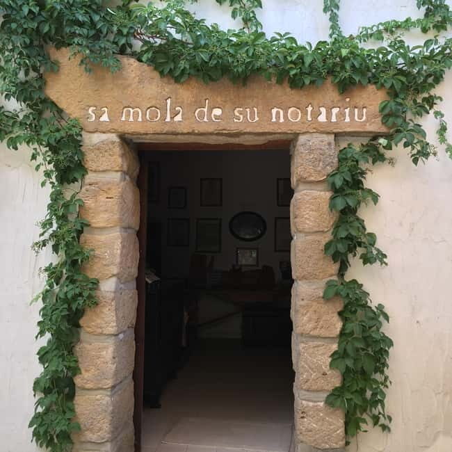 Cagliari Olive Oil Museum: Tours & Tasting a Dolianova - Who Should Sign Up?