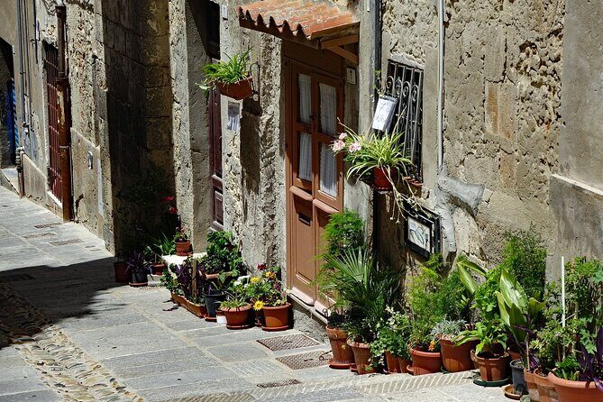 Cagliari Private Walking Tour With A Professional Guide - Who Will Love This Tour?