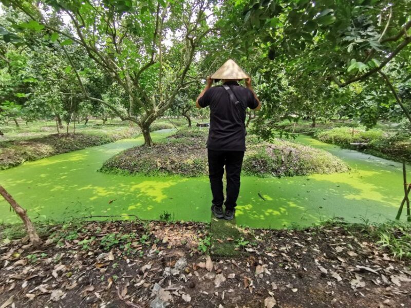 Cai Be: Private Day Tour - Why This Tour Offers Great Value