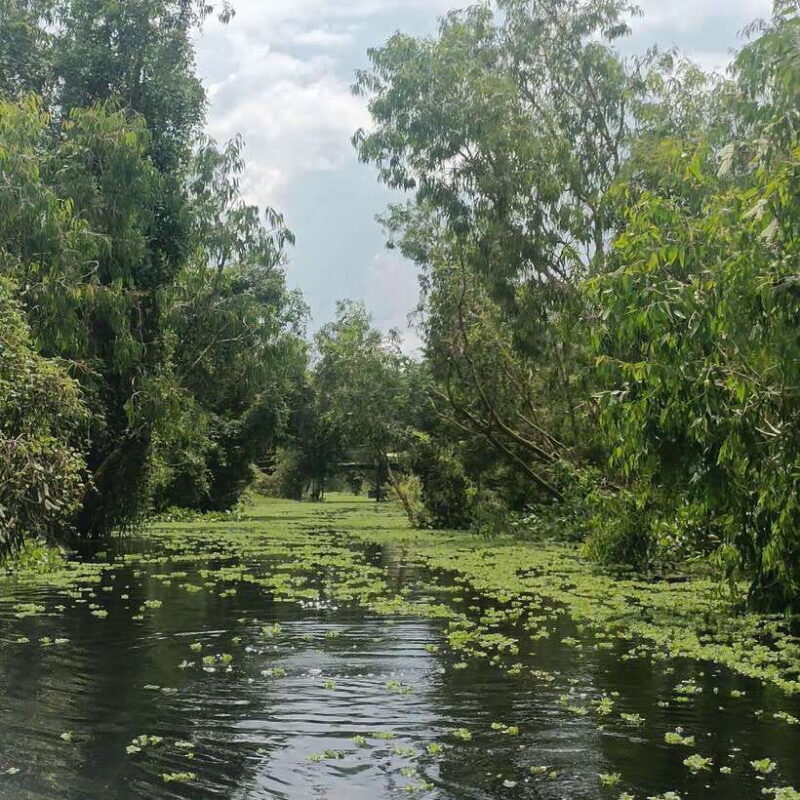 Cai rang floating market and Lung Ngoc Hoang Nature Reserve - FAQs