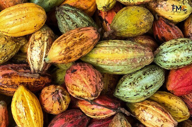 Cai Rang floating market, Cacao & hidden small canal - FAQs