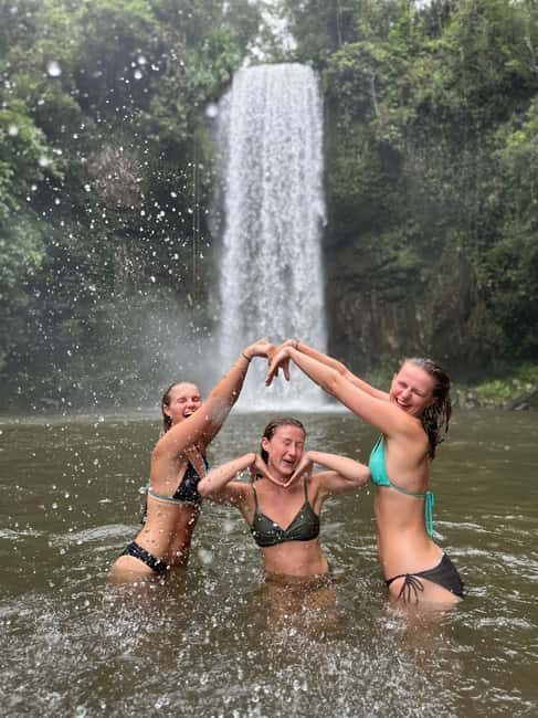 Cairns: 2-Day Atherton Tablelands & Cape Tribulation Tour - Why This Tour Is a Great Choice