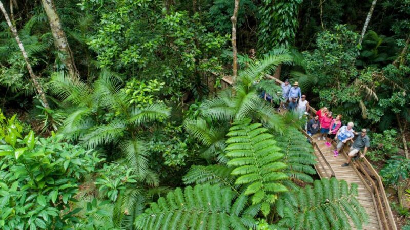 Cairns: 2-Day Great Barrier Reef & Daintree Rainforest Tour - FAQ