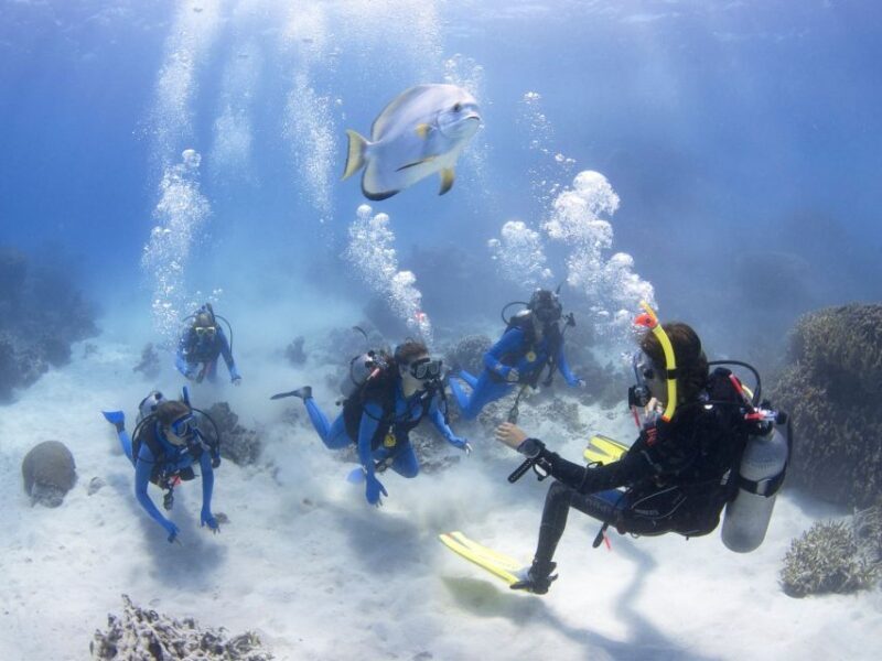 Cairns: 4-Day PADI Open Water Course - Who Should Consider This Course?