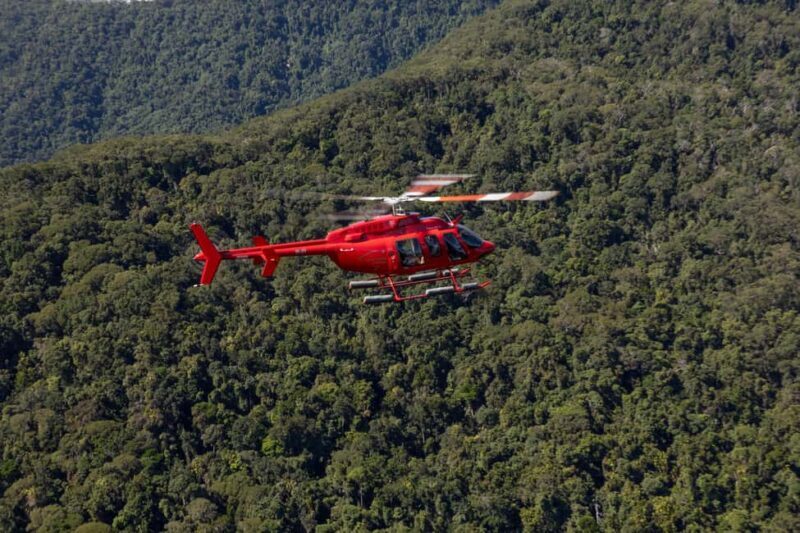 Cairns: 45 Min Great Barrier Reef & Rainforest Scenic Flight - Authentic Traveler Perspectives