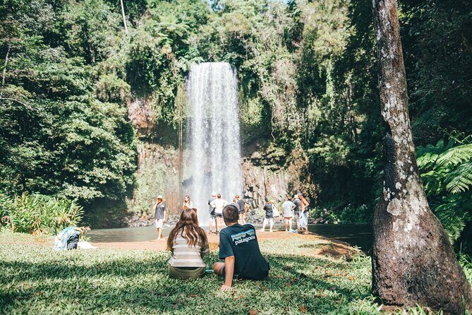 Cairns Adventure Package- 4 tours in 3 days! - Day 1: Rainforest Rhythms — Tubing and White Water Rafting
