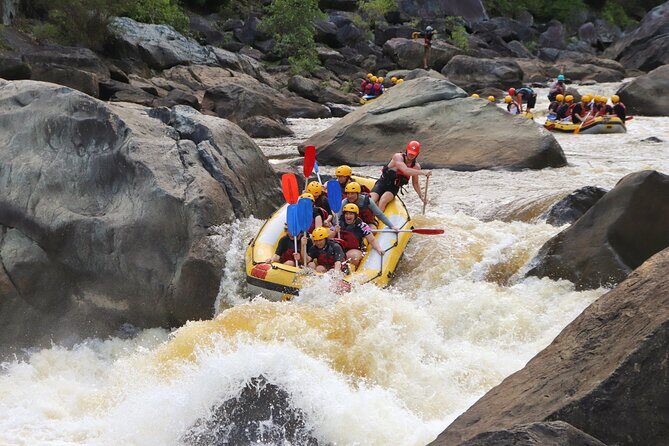 Cairns Adventure Package- 4 tours in 3 days! - Day 3: Daintree Rainforest and Cape Tribulation