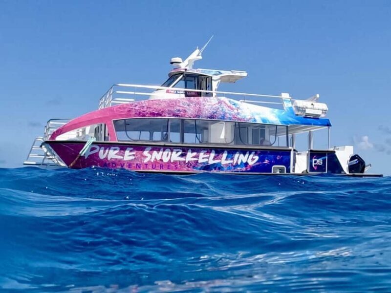Cairns: All-Inclusive Great Barrier Reef Half-Day Snorkeling - Discover the Outer Great Barrier Reef in Half a Day from Cairns